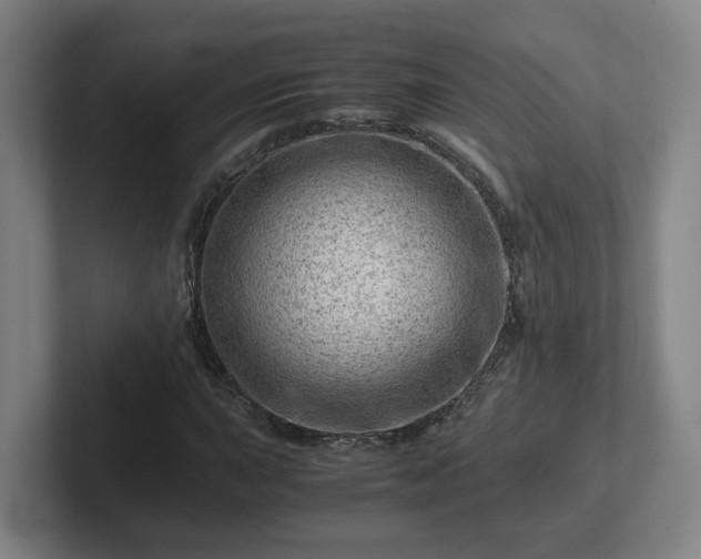 X0000101961015200807251150