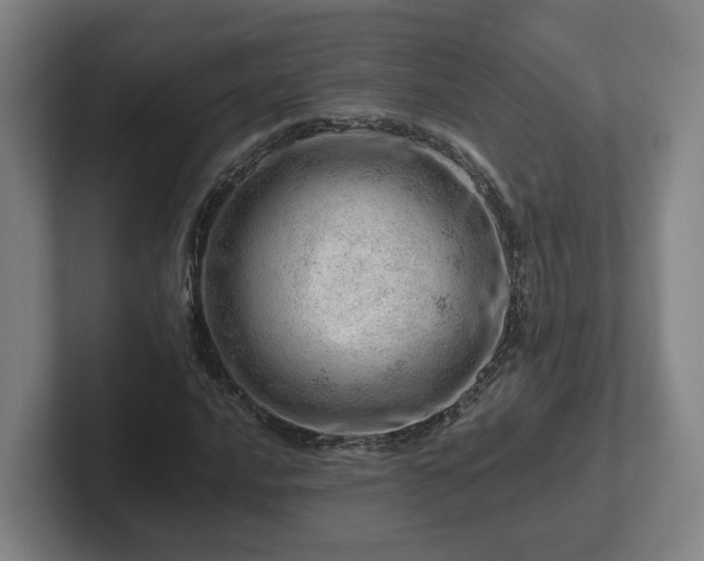 X0000101961016200807251150