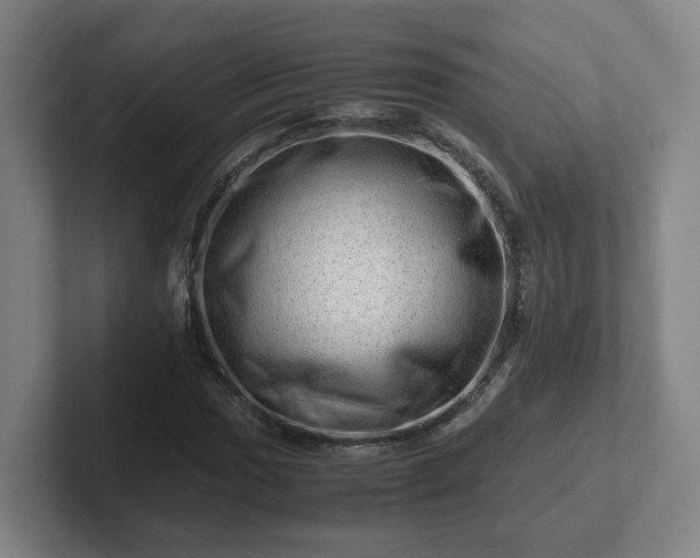 X0000101961017200807251150