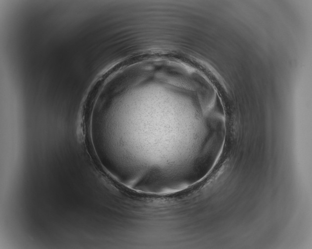 X0000101961018200807251150