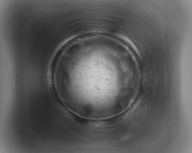 X0000101961019200807251150