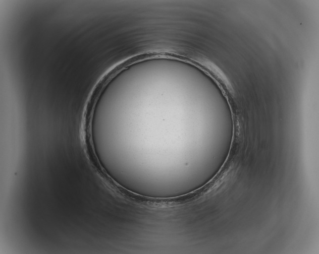 X0000101961020200807251150