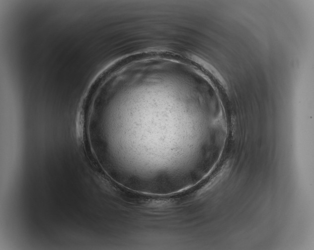 X0000101961021200807251150