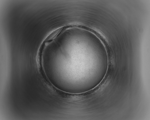 X0000101961022200807251150