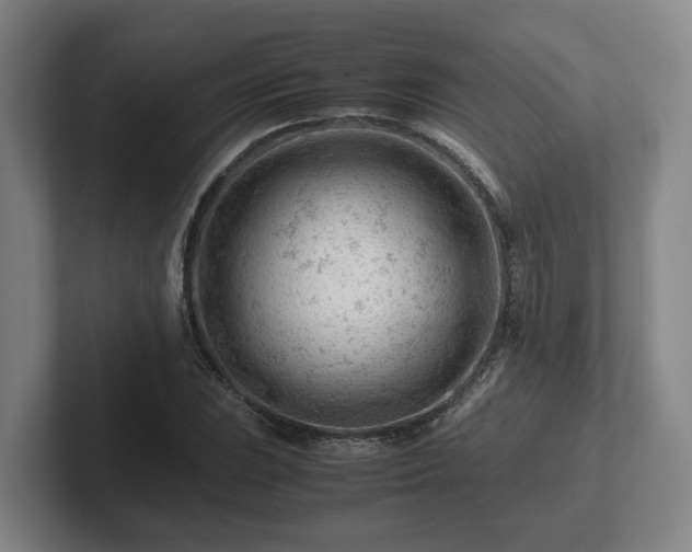 X0000101961023200807251150