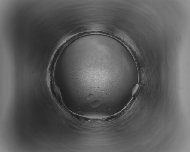 X0000101961024200807251150