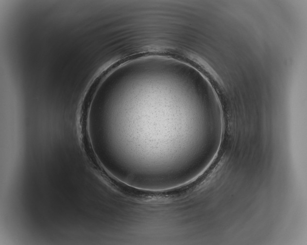 X0000101961026200807251150