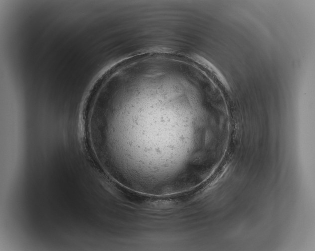 X0000101961027200807251150