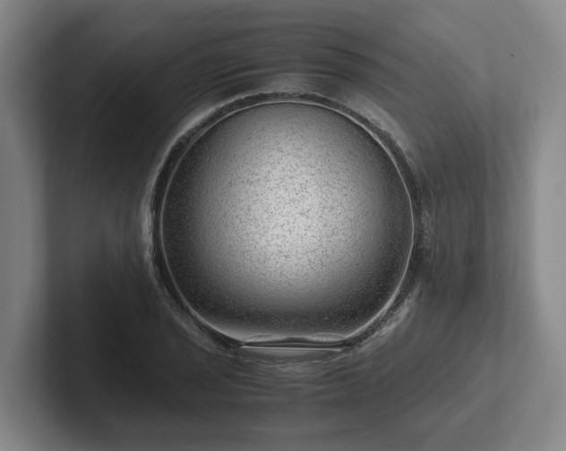 X0000101961029200807251150