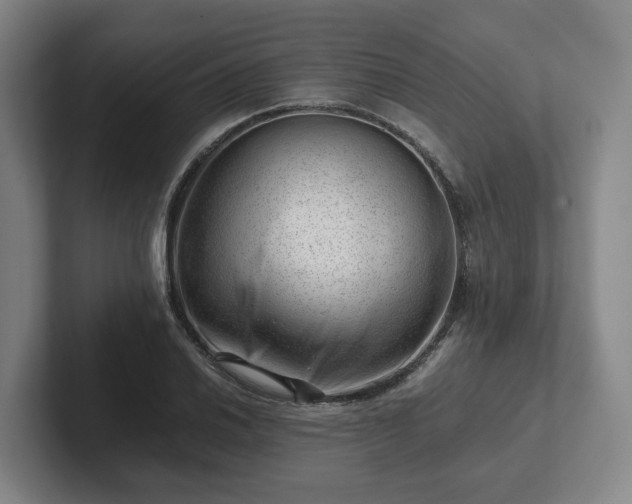 X0000101961030200807251150