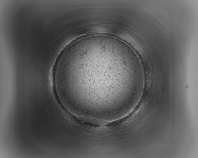 X0000101961031200807251150