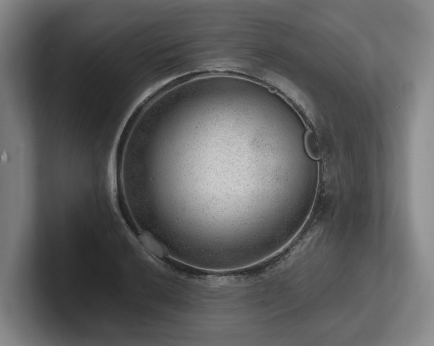 X0000101961032200807251150