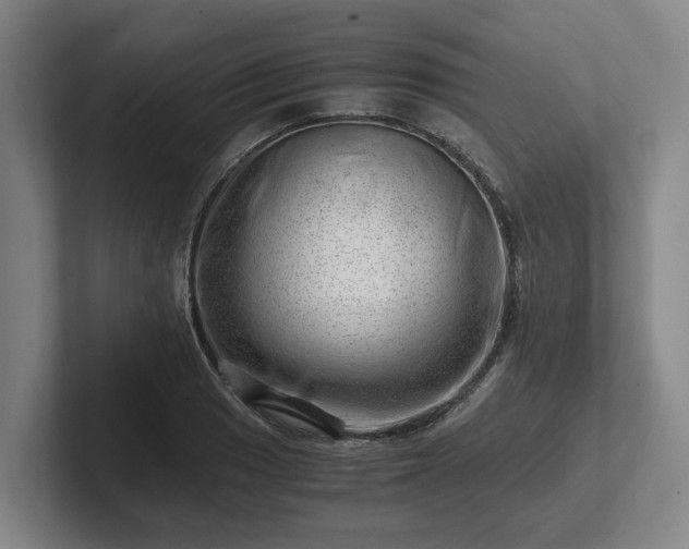 X0000101961033200807251150