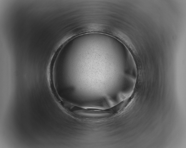 X0000101961034200807251150