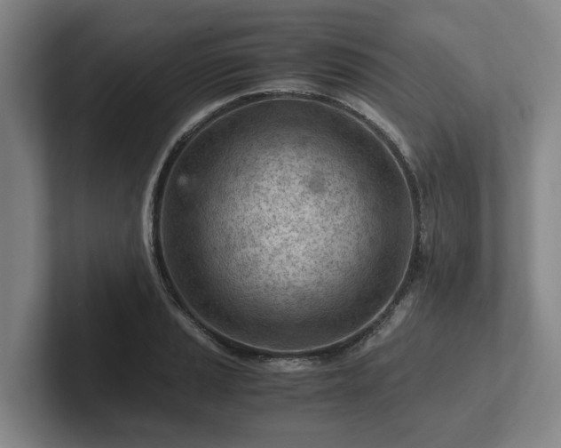 X0000101961037200807251150