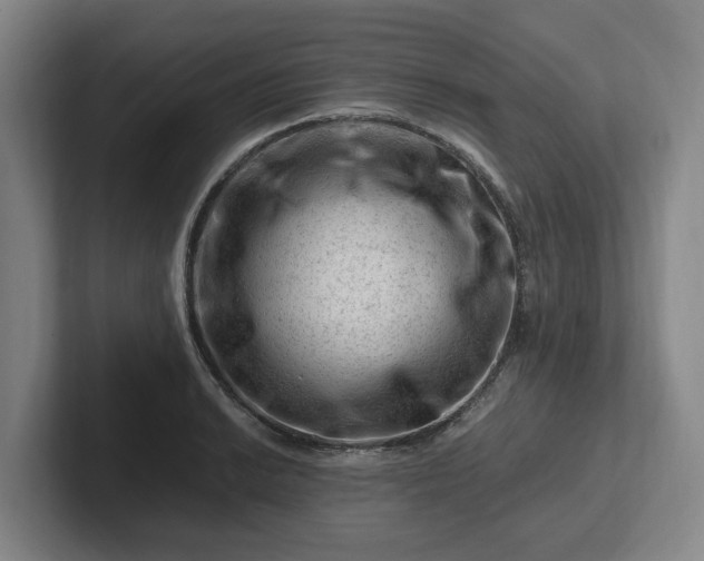 X0000101961038200807251150