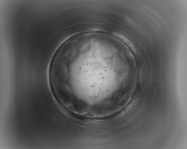 X0000101961039200807251150