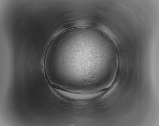 X0000101961041200807251150