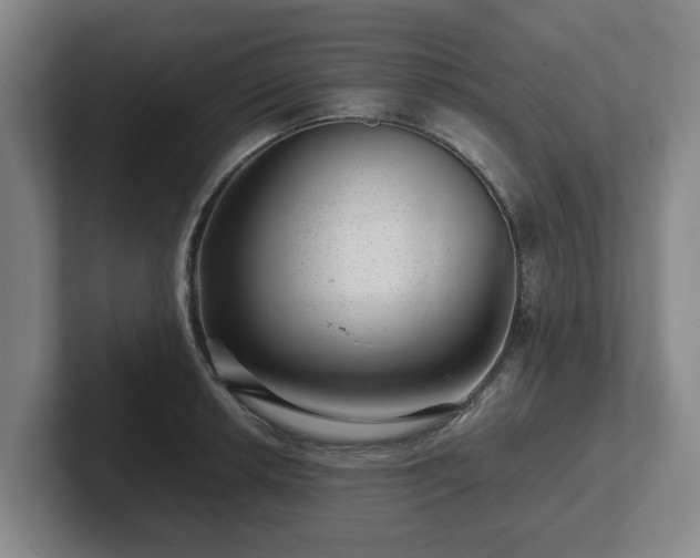 X0000101961042200807251150