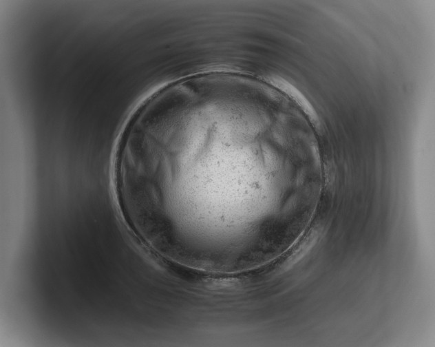 X0000101961043200807251150