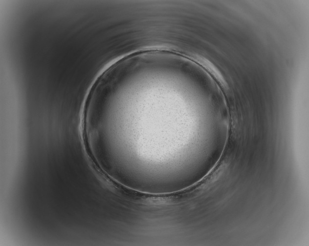 X0000101961044200807251150