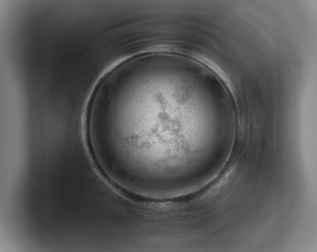 X0000101961045200807251150