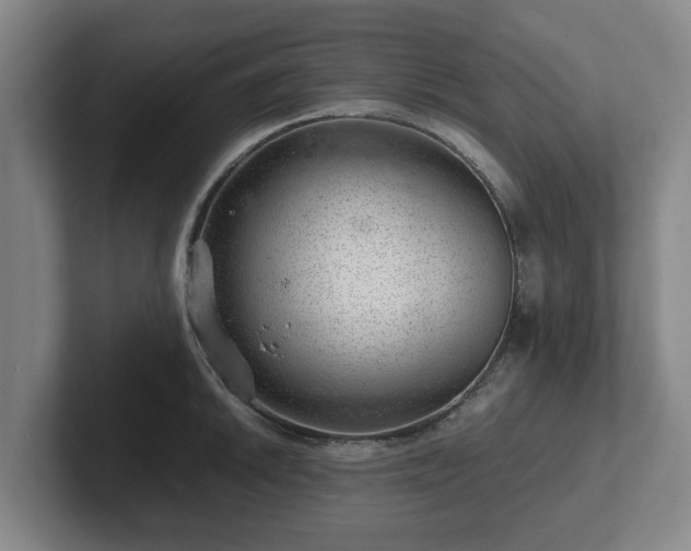 X0000101961046200807251150