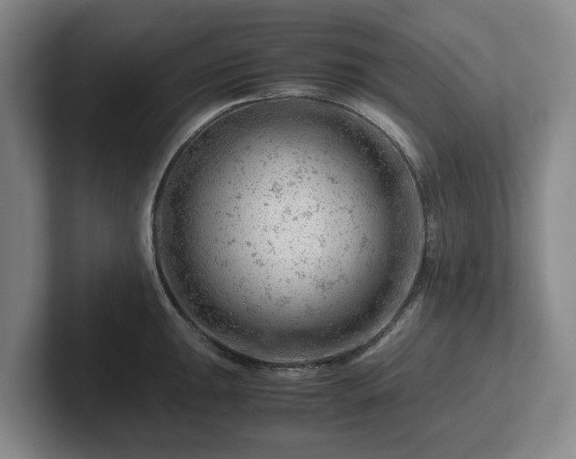 X0000101961047200807251150