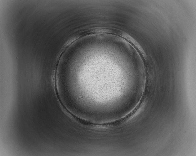 X0000101961049200807251150