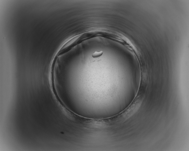 X0000101961050200807251150