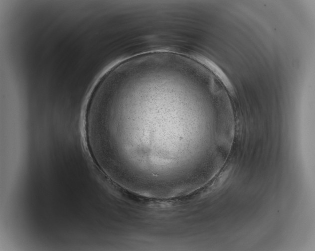 X0000101961051200807251150