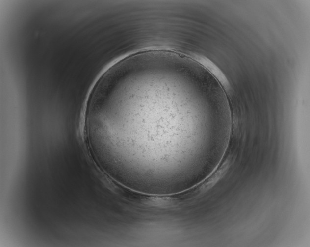 X0000101961052200807251150