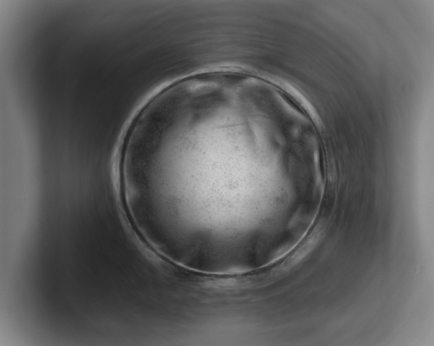 X0000101961054200807251151