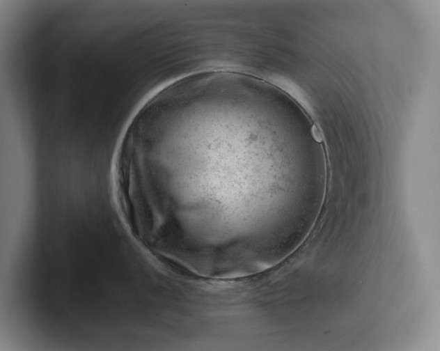 X0000101961056200807251151