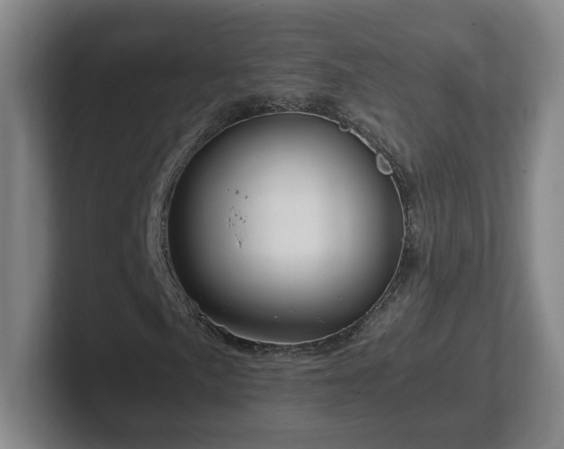 X0000101961057200807251150