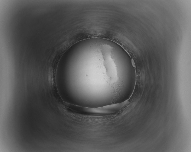 X0000101961058200807251150