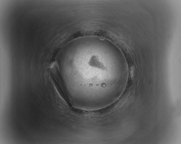 X0000101961059200807251150