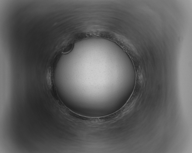 X0000101961060200807251150