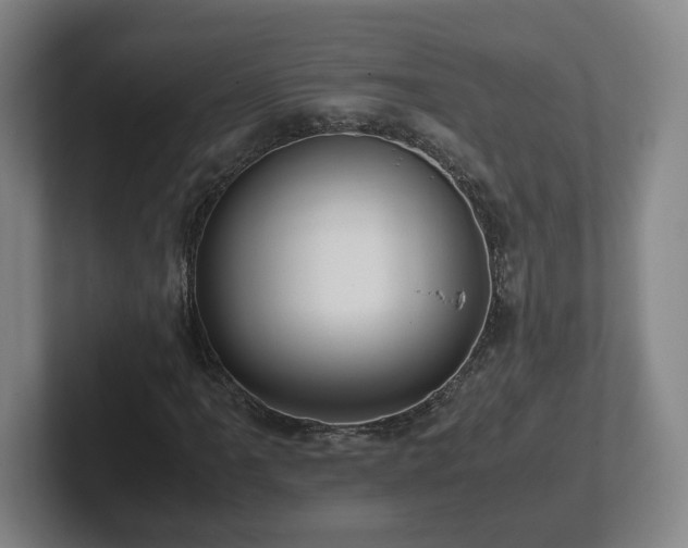 X0000101961061200807251150