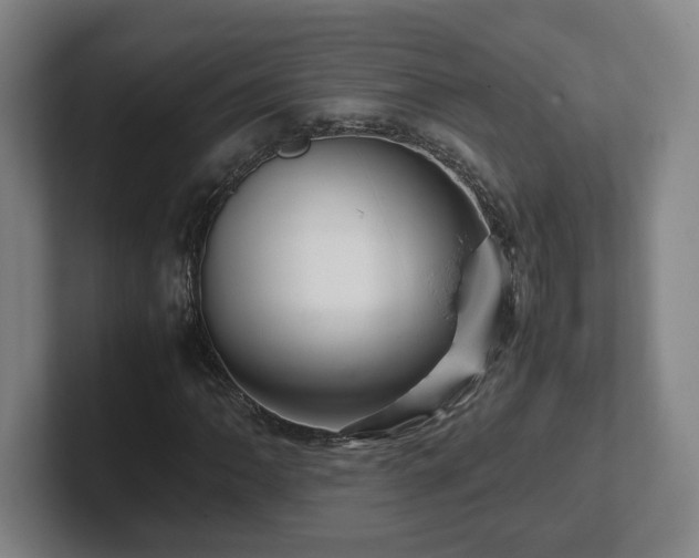 X0000101961062200807251150