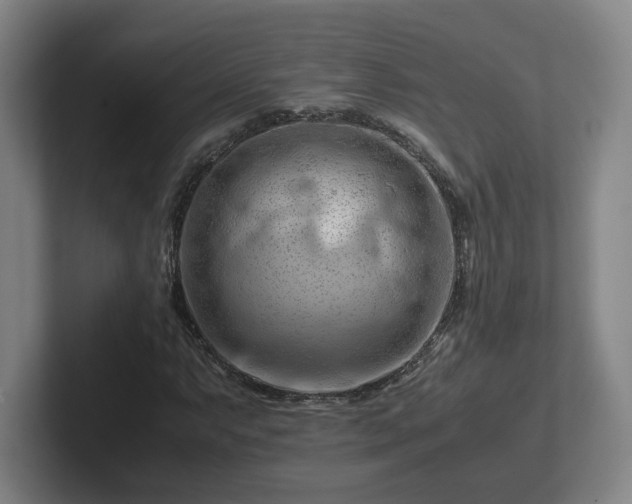 X0000101961063200807251150