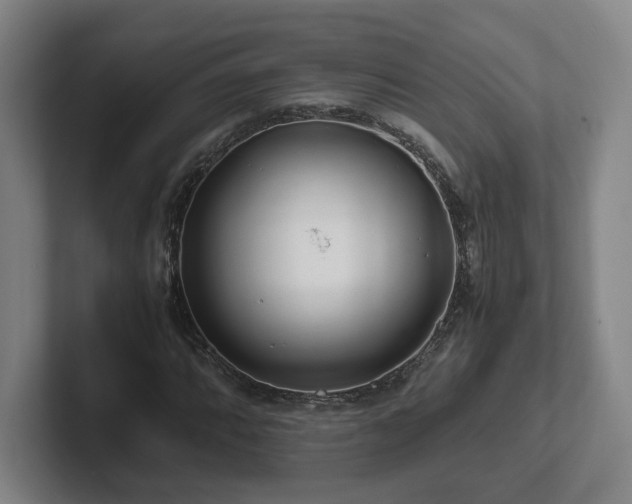 X0000101961064200807251150