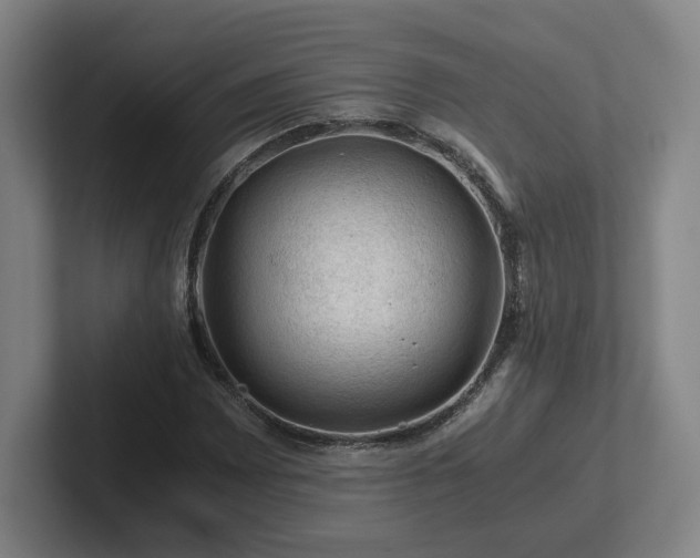 X0000101961065200807251150