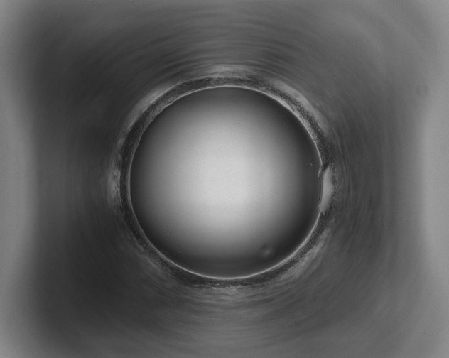 X0000101961066200807251150