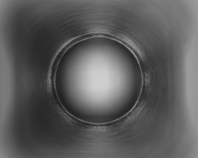 X0000101961068200807251150