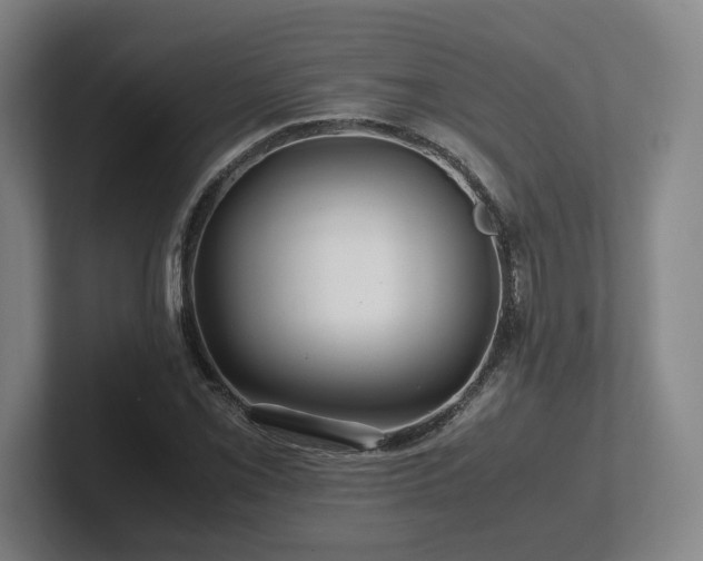 X0000101961069200807251150