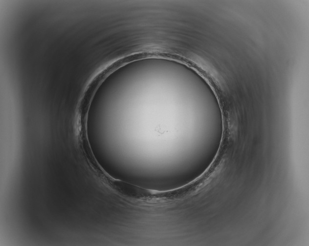 X0000101961070200807251150