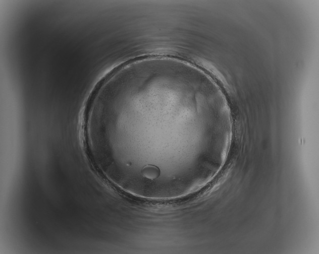 X0000101961071200807251150