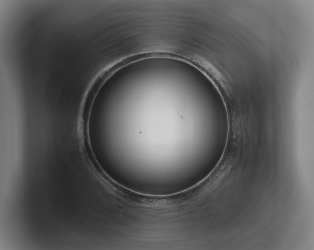 X0000101961072200807251150