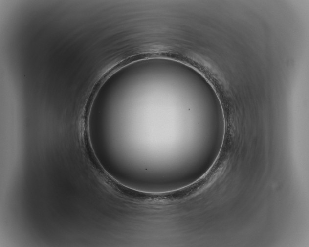 X0000101961073200807251150